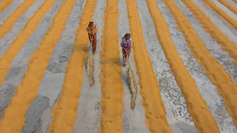 Getty Images Rice is a staple food for billions of people worldwide (Credit: Getty Images)